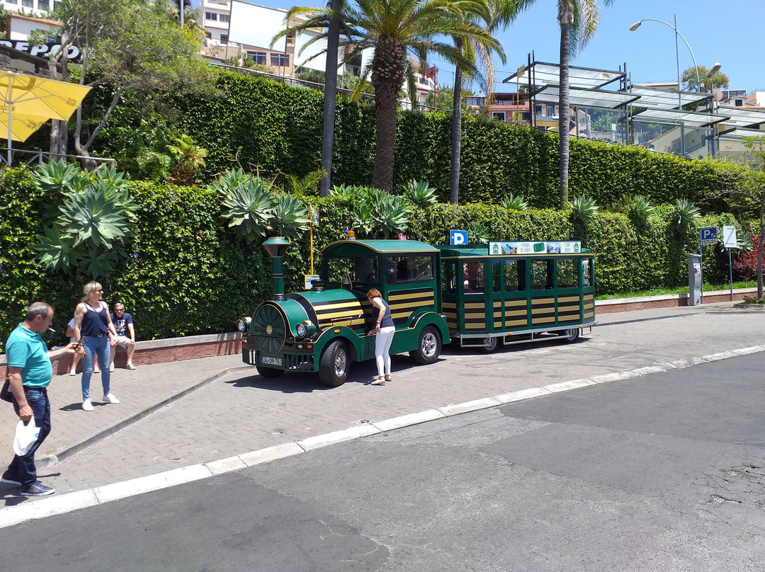 Madeira Green Train-Camara De Lobos必去景点