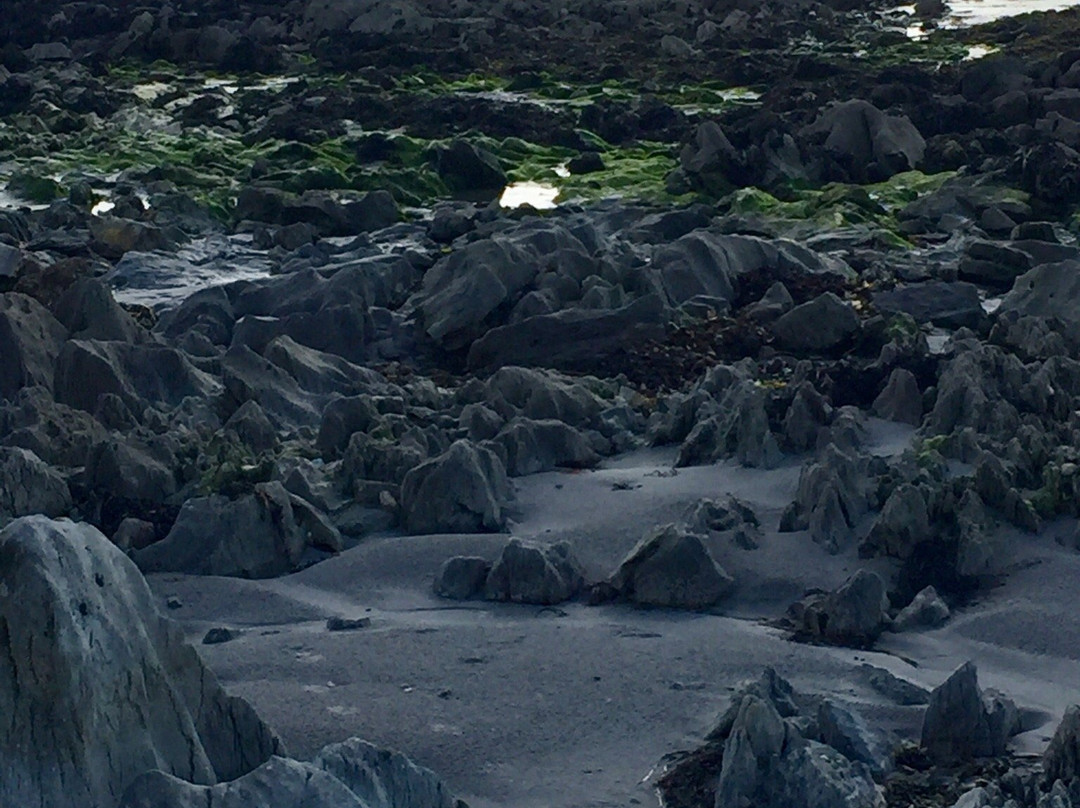 Fenit Lighthouse景点图片