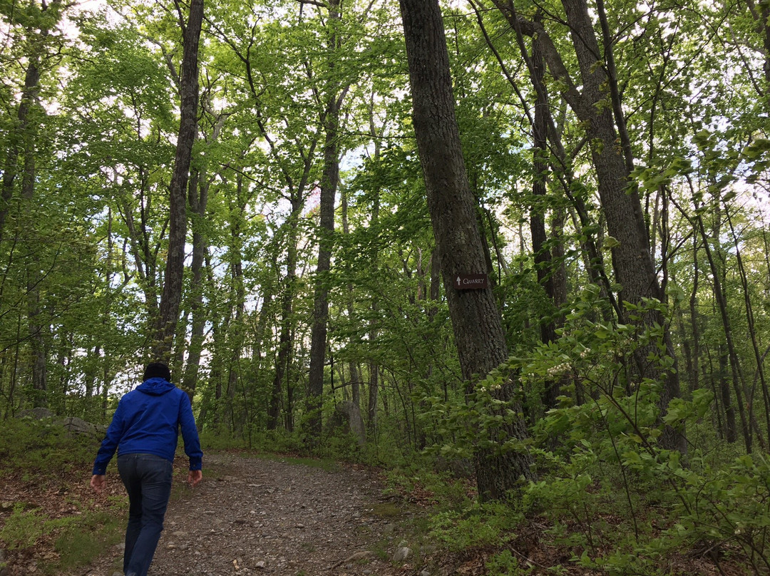 Hopkinton State Park景点图片