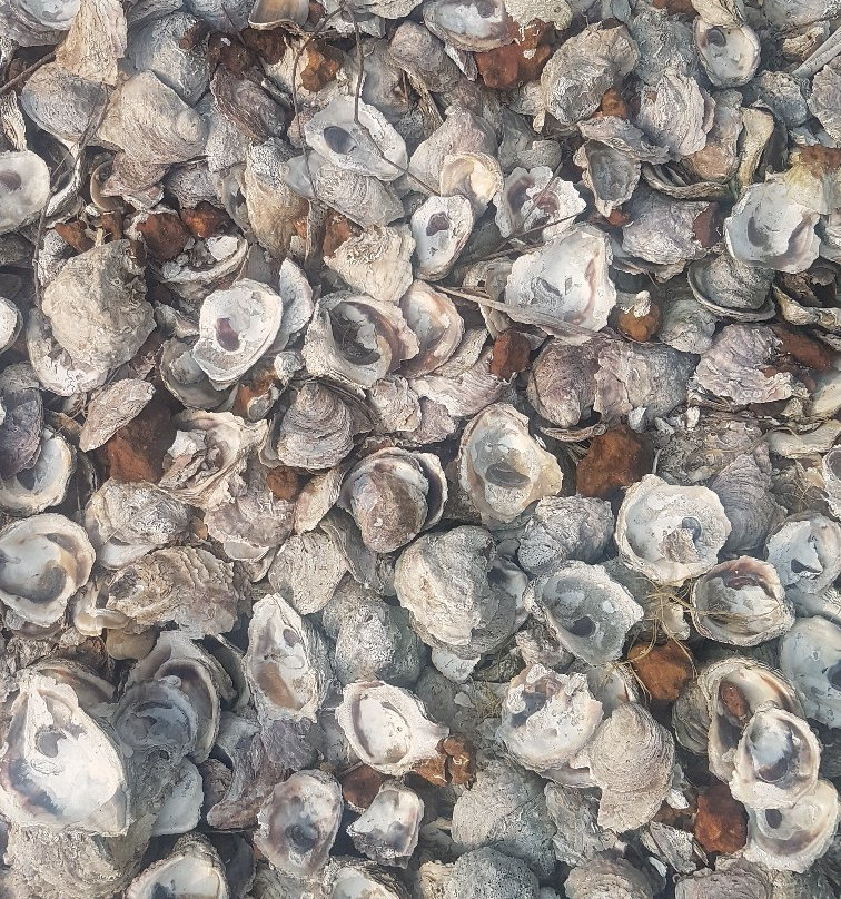 Roomy's Convention Center主图