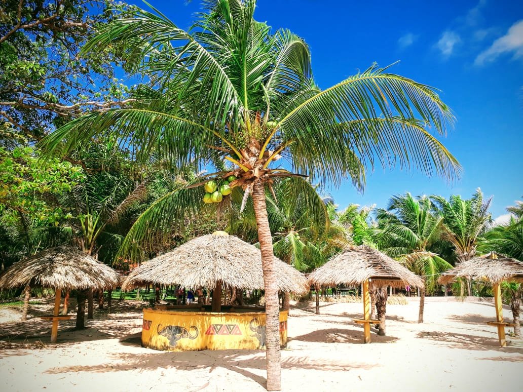 Pousada dos Guarás-泳池