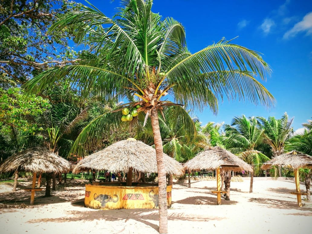 Pousada dos Guarás主图