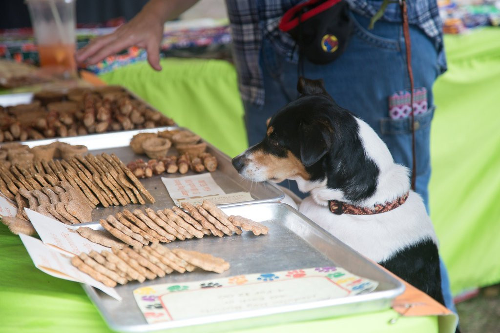 Orange Park Farmers' & Arts Market-橙园必去景点