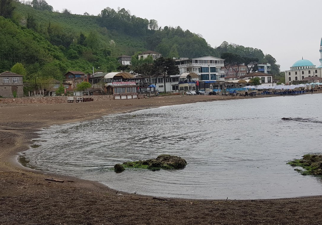 伊迪兹公寓酒店