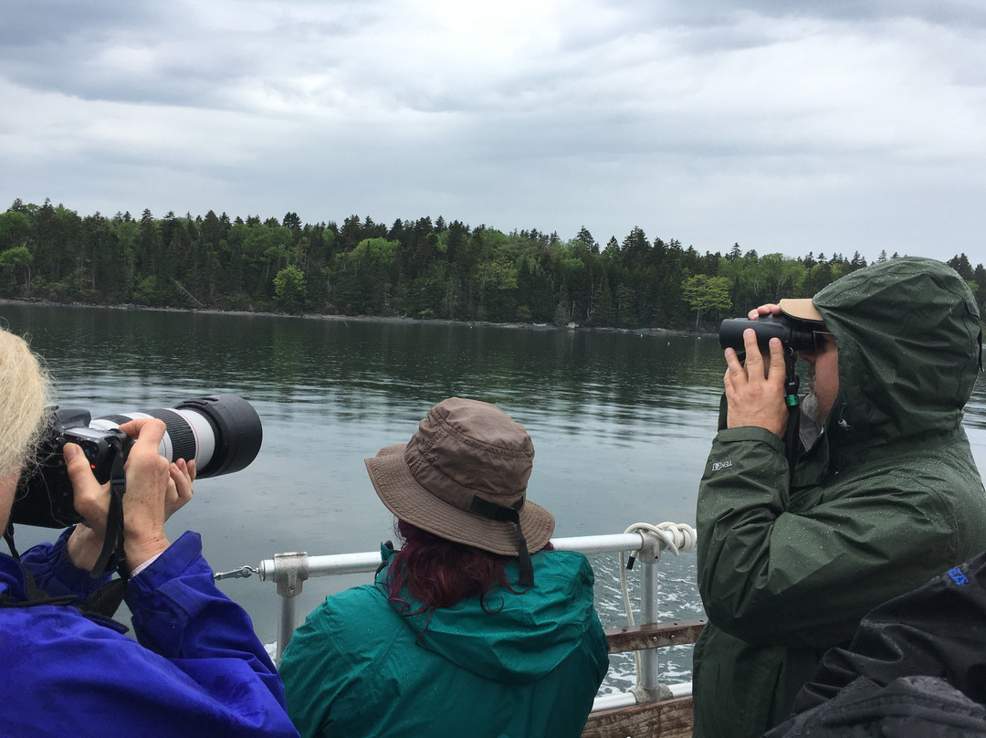 Seacoast Tours of Freeport-弗里波特必去景点