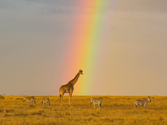 African Quest Safaris