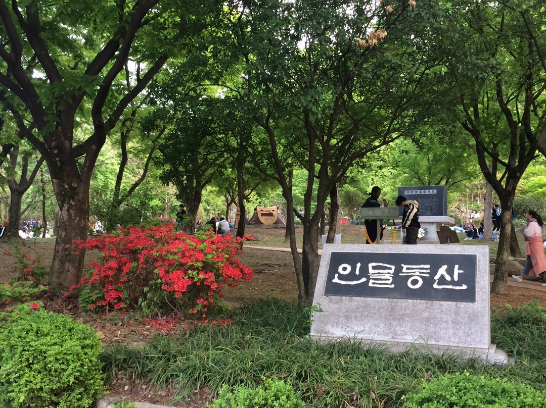 Daegu Duryu Park景点图片