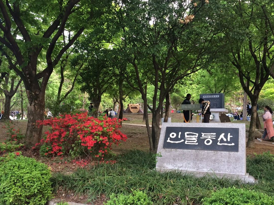 Daegu Duryu Park-大邱必去景点