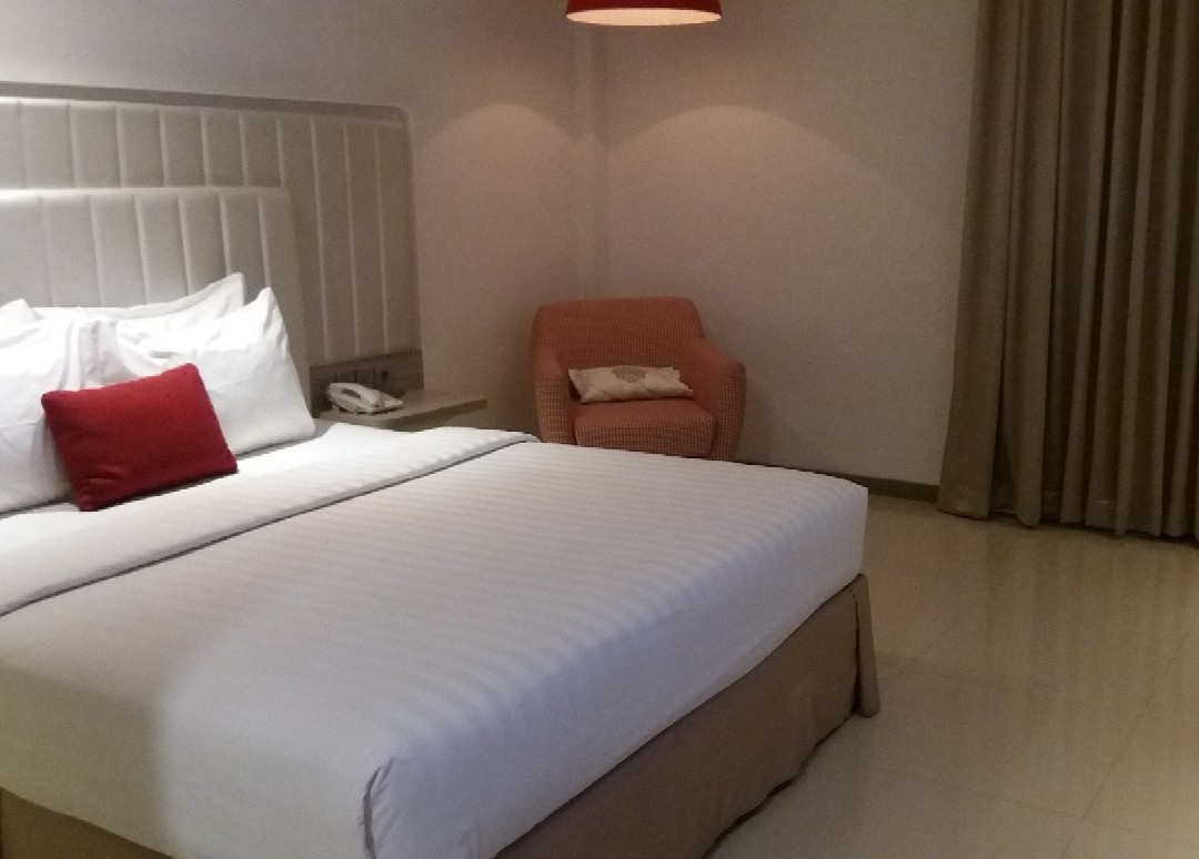 钱德拉酒店主图