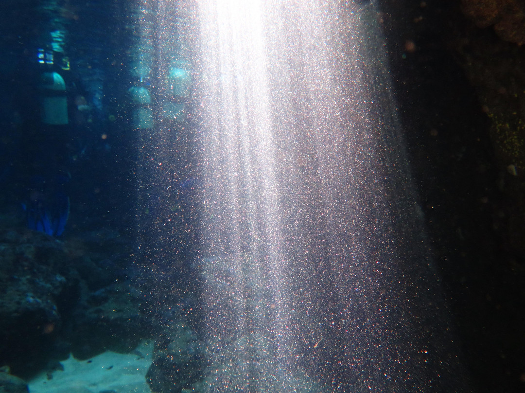 Bura Bora diving center-Liznjan必去景点