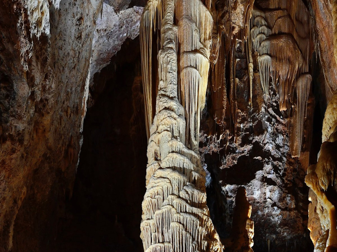 Grotte de Dargilan景点图片