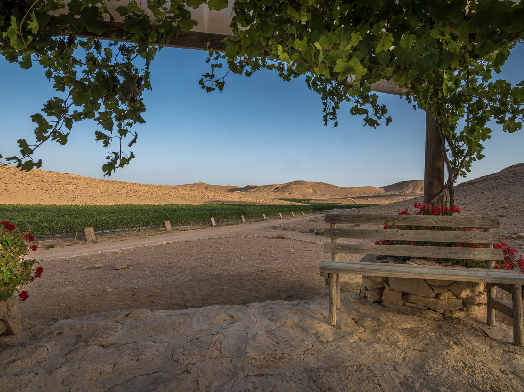 Nana Estate Winery-米茨佩拉蒙必去景点