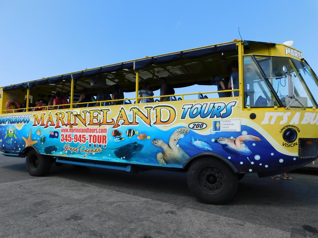 MarineLand Tours景点图片