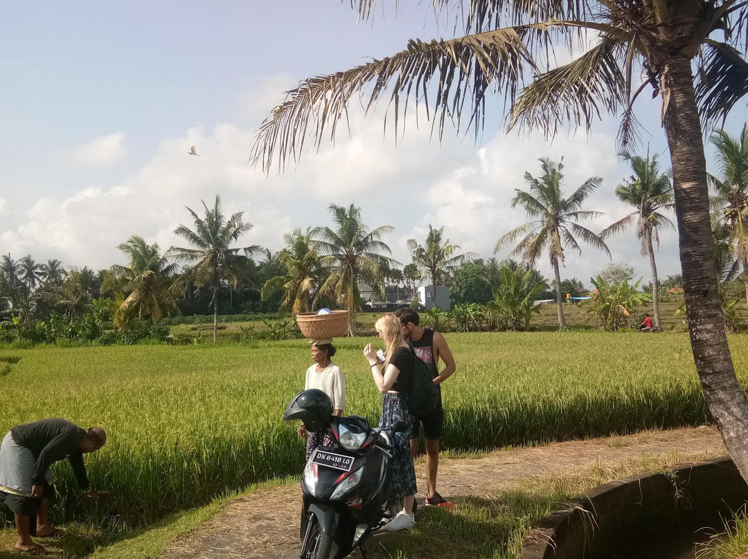 Bali Experience Adventure Tour景点图片