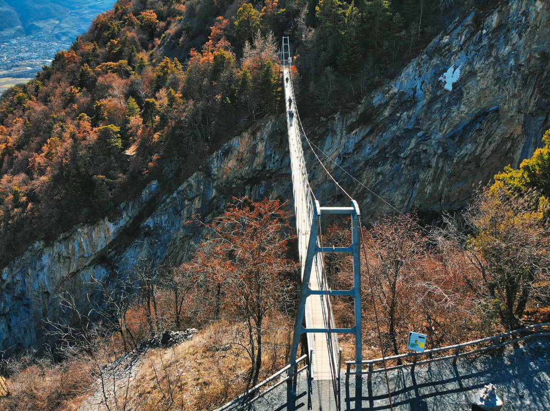 Passerelle à Farinet景点图片