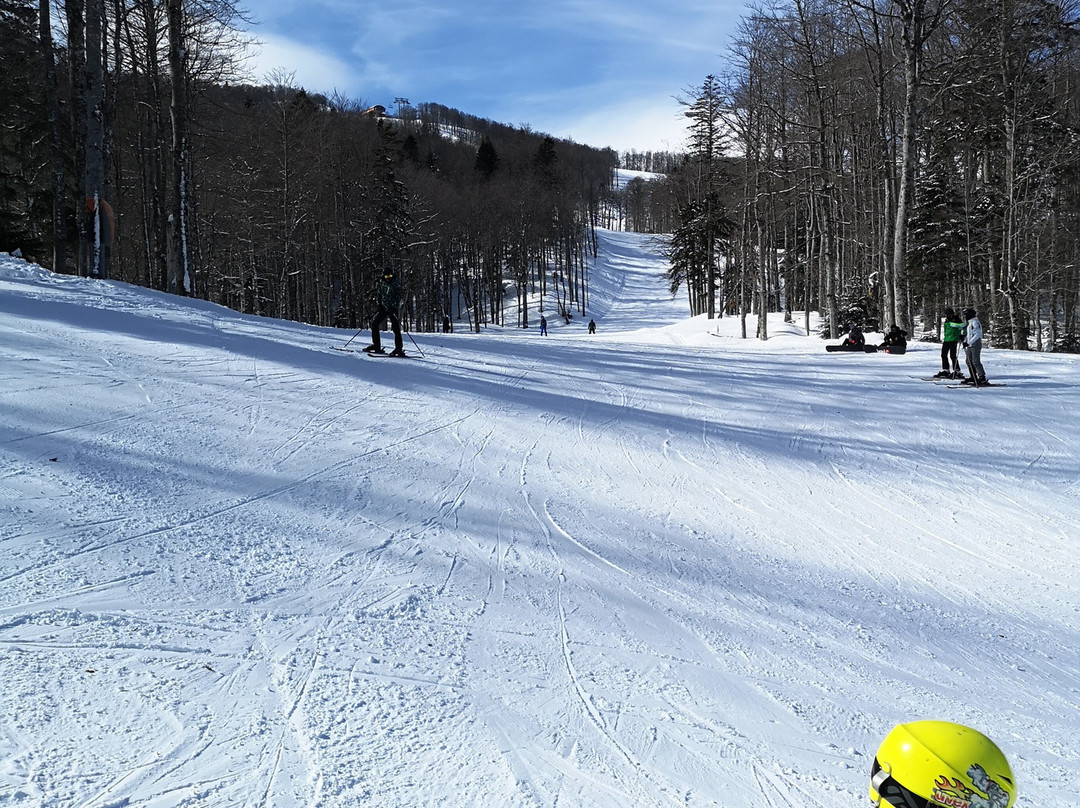 Ski Center Kolasin 1450景点图片