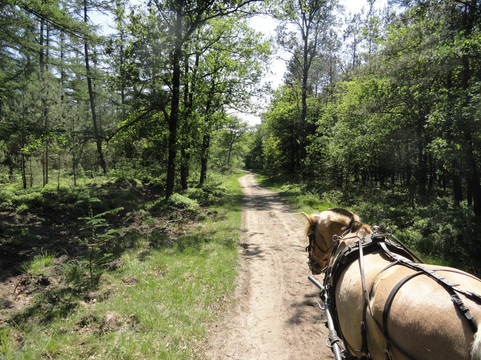 Huifkarcentrum de Kronkel-Hoog-Soeren必去景点