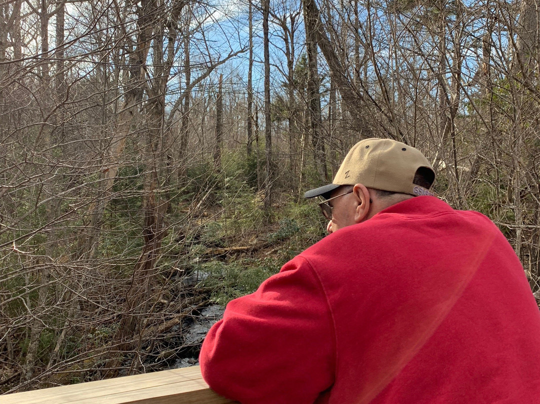 Limberlost Trail-雪兰多国家公园必去景点