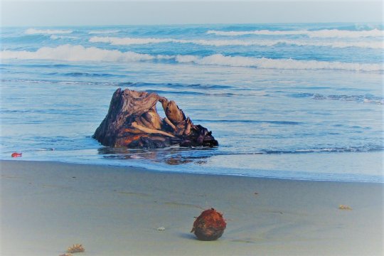 内格拉海滩旅馆-泳池