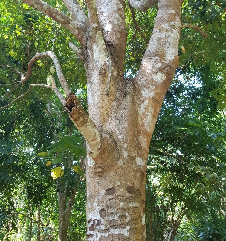 Na Tin Spicy Garden-奥南必去景点