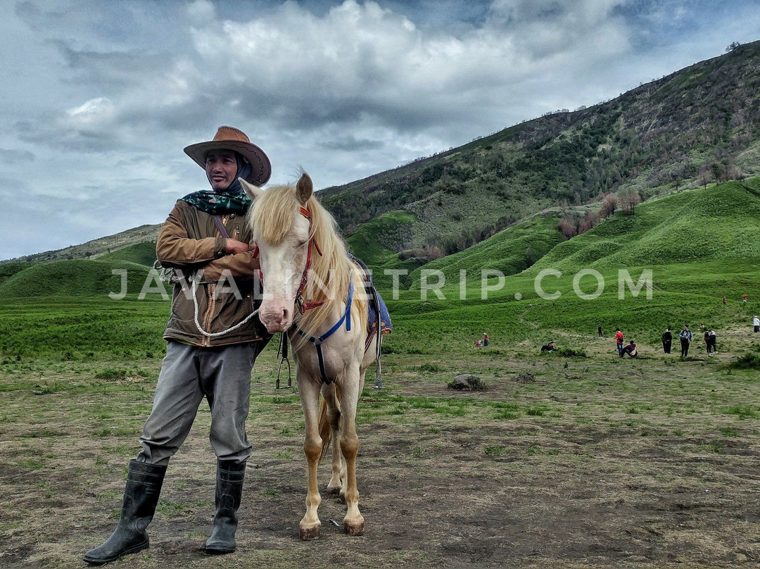 Javaline trip-泗水必去景点