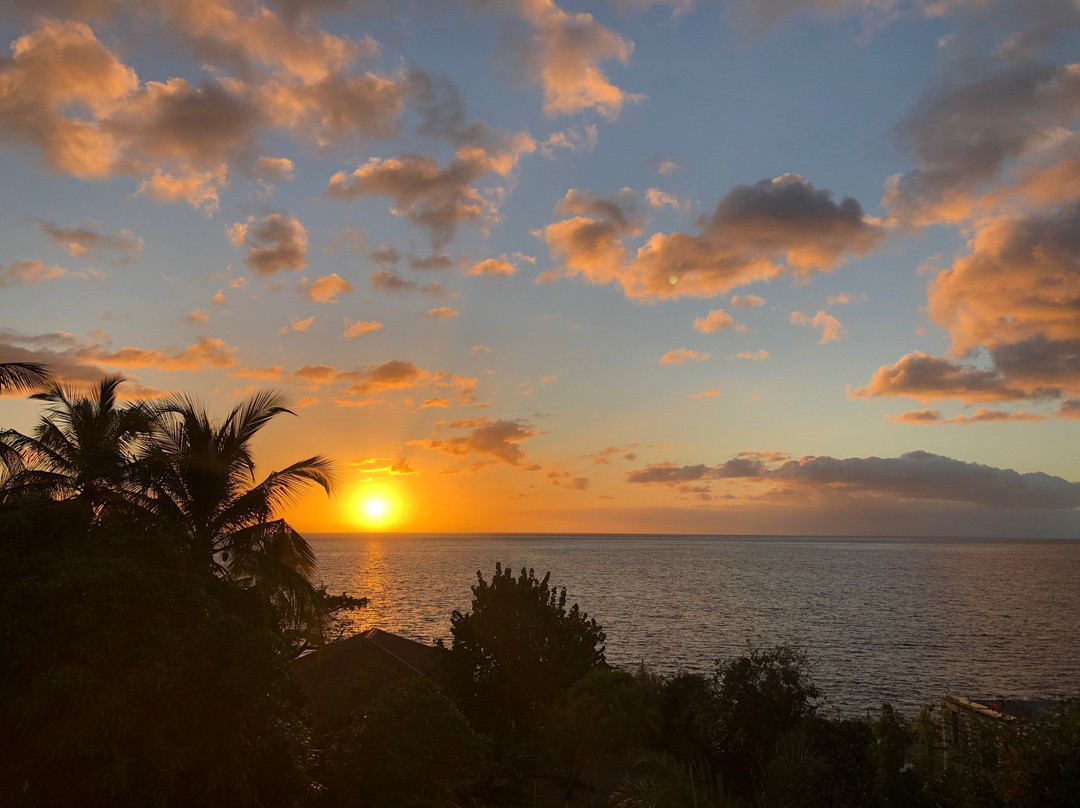 Residence Pommes Cannelles主图