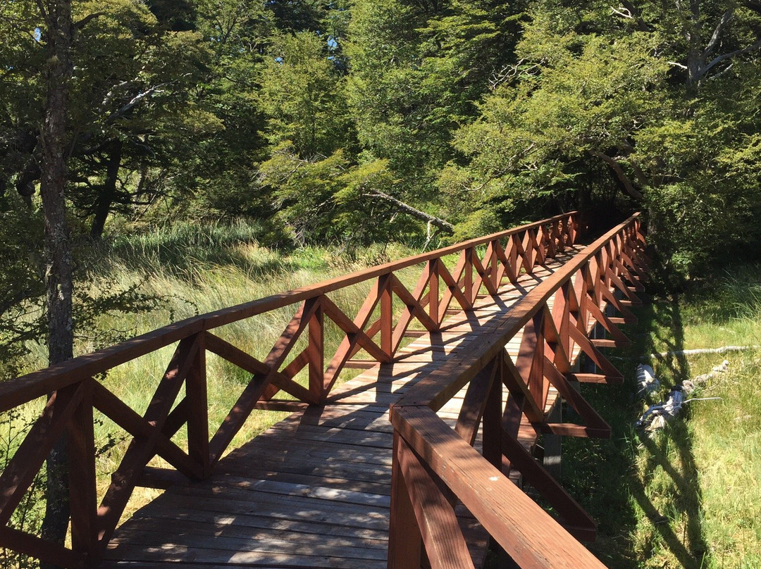 Parque Nacional Tolhuaca景点图片