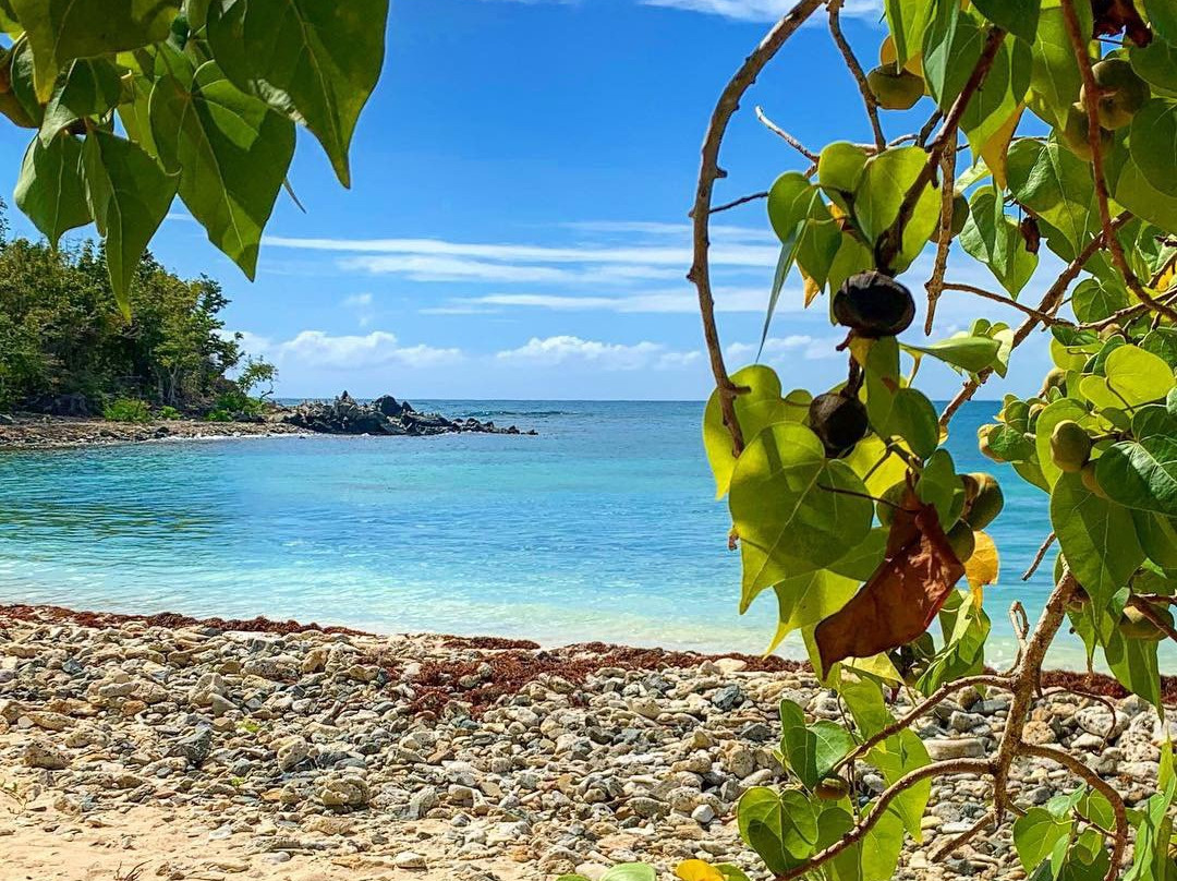 Playa Pata Prieta-Puerto Ferro必去景点