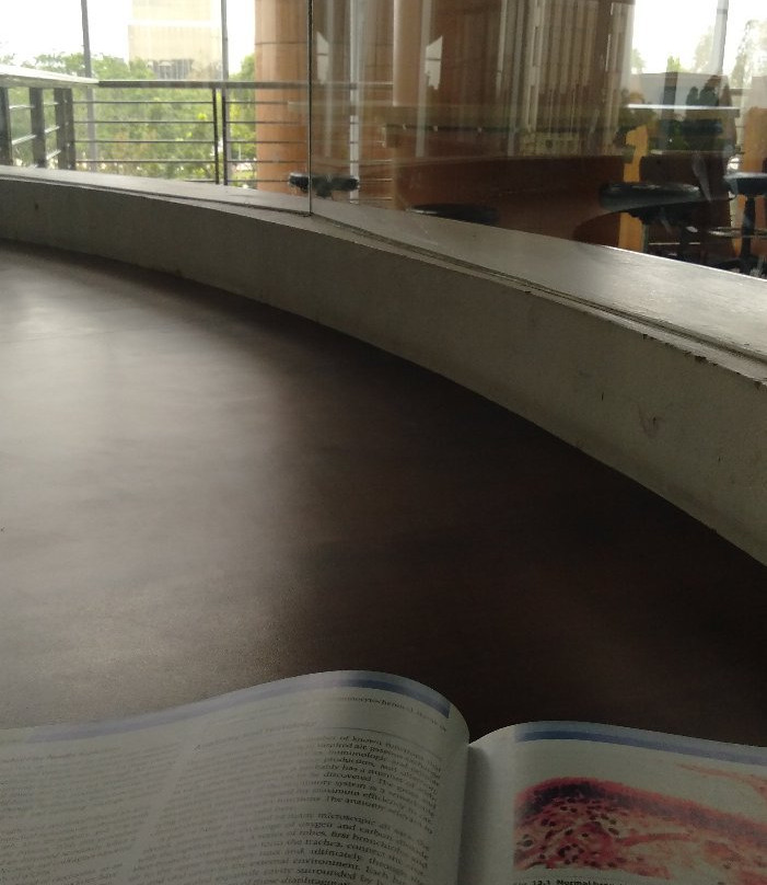 HS Soeman Library-北干巴鲁必去景点