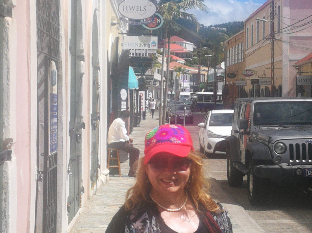 Camille Pissarro Fine Antiques & Print Gallery-圣 托马斯必去景点