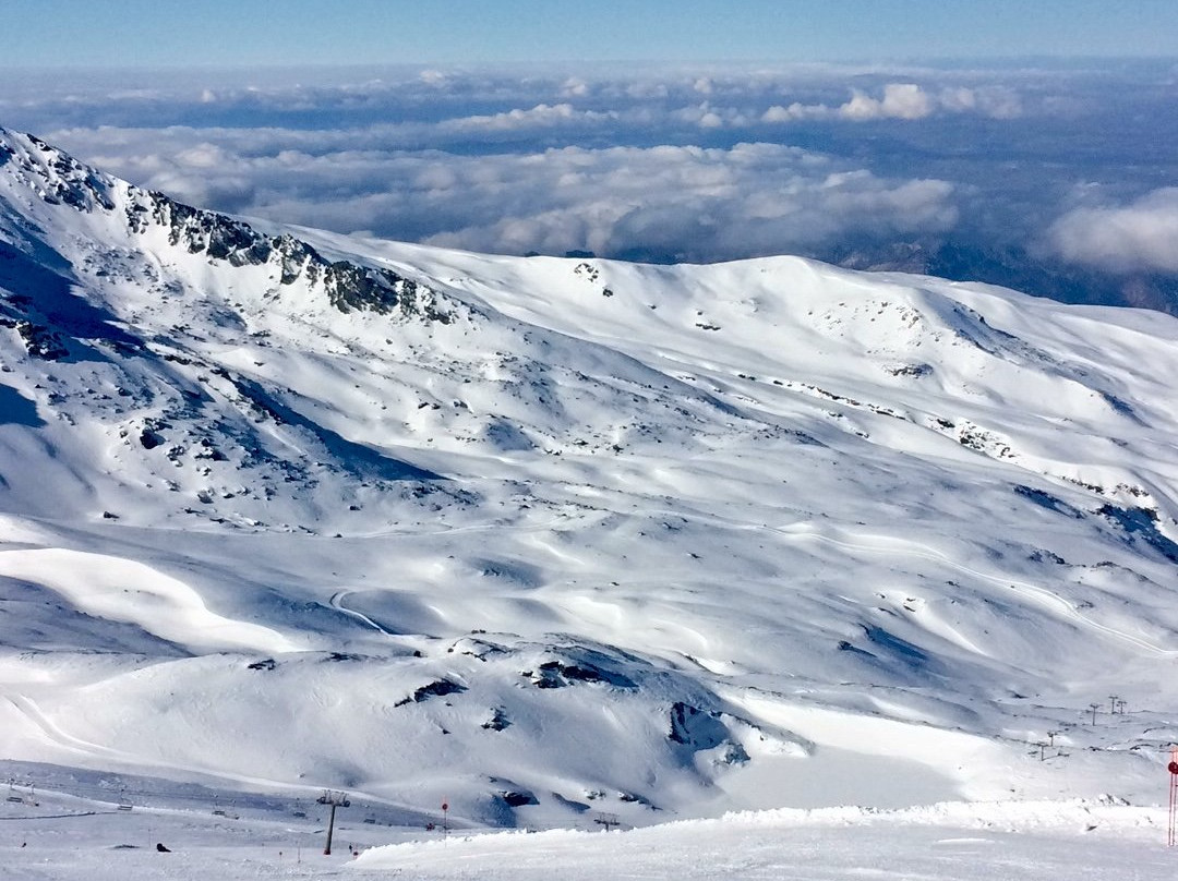 Swedish Ski School景点图片