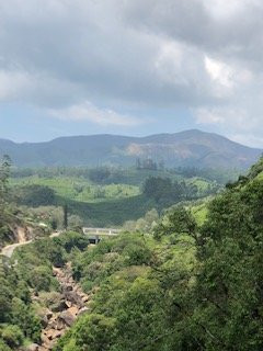 Abad Copper Castle Resort Munnar主图