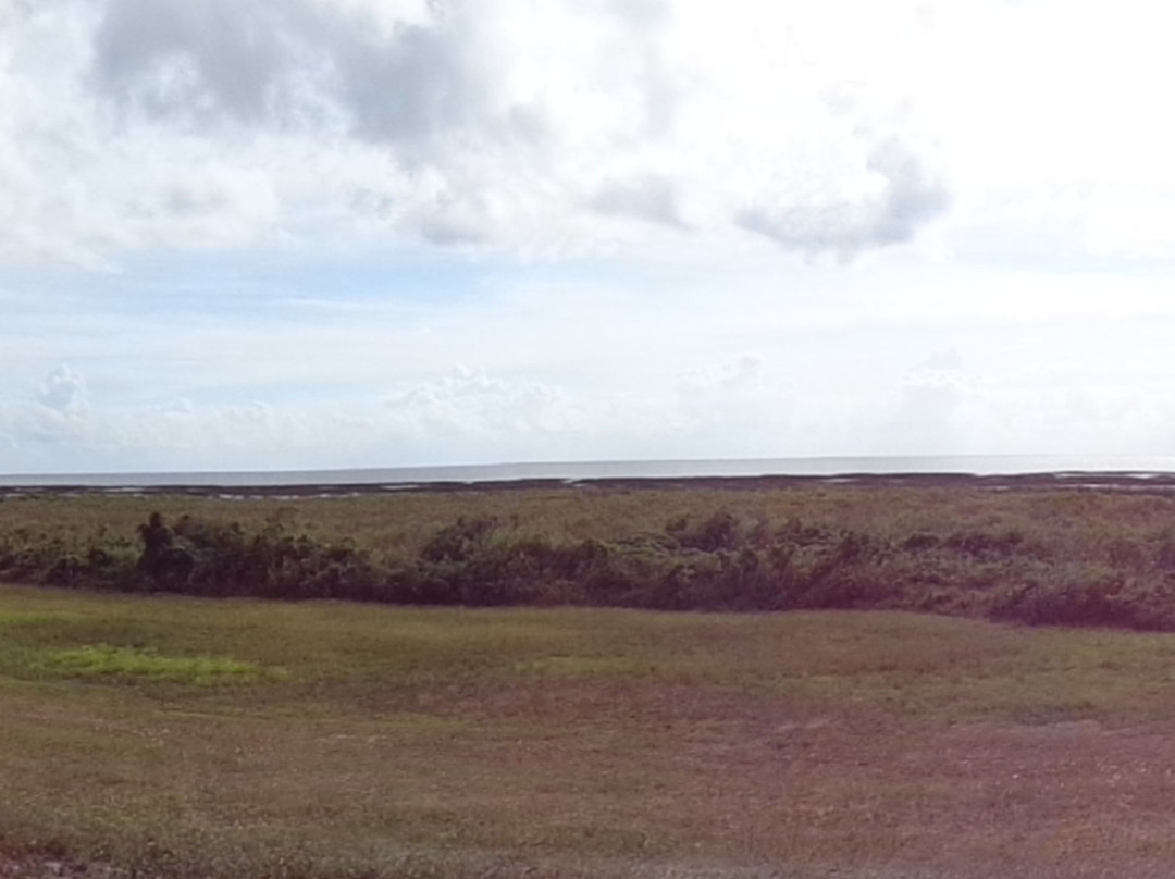 Taylor Creek Stormwater Treatment Area Trailead-奥基乔比必去景点