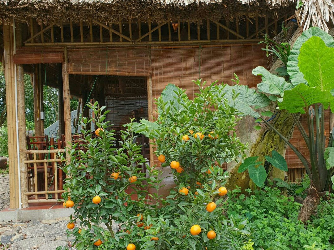 Dinh Gia Home Villa & Resort主图