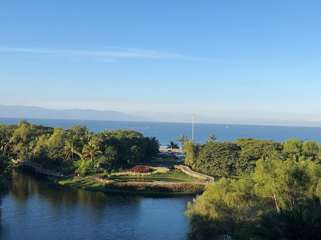 The Grand Bliss at Vidanta Nuevo Vallarta主图