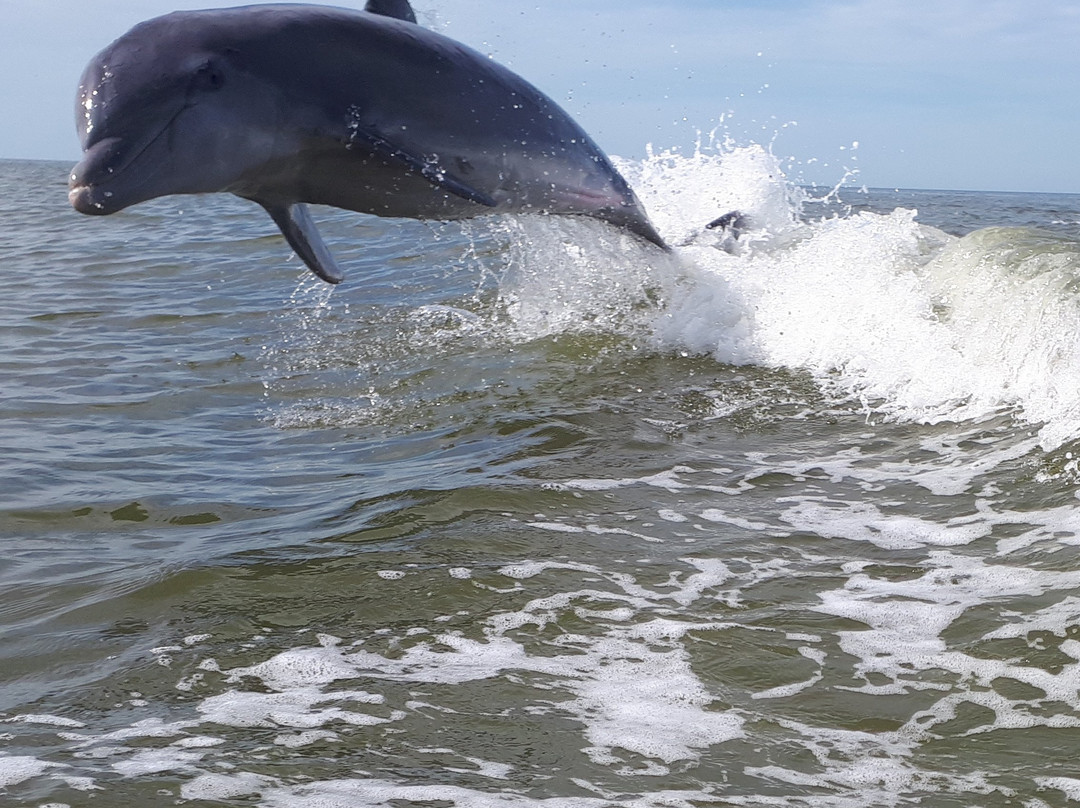 Native Tours & Fishing Charters-大沼泽地必去景点