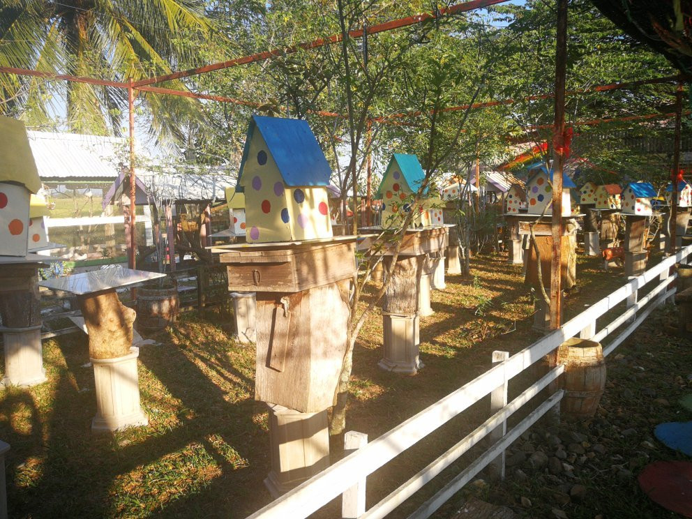Ladang Madu Kelulut Ori DUKUN JAYA景点图片