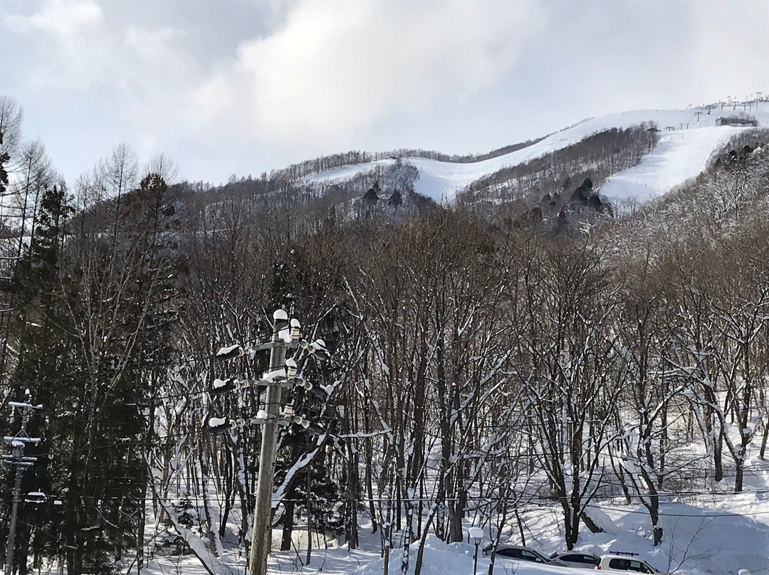 Wadano Forest Hotel & Apartments主图