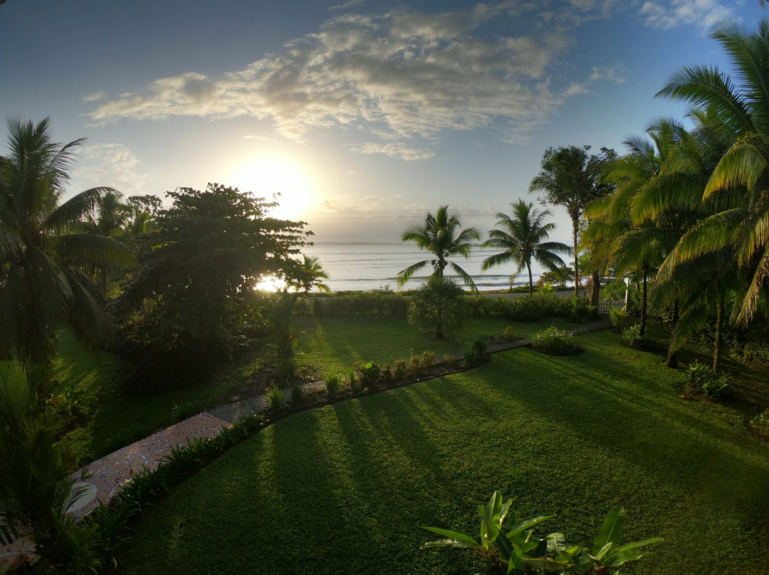 Sand Dollar Beach Bed & Breakfast主图