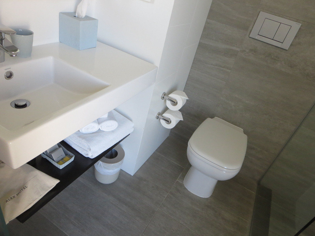 艾历克斯酒店主图