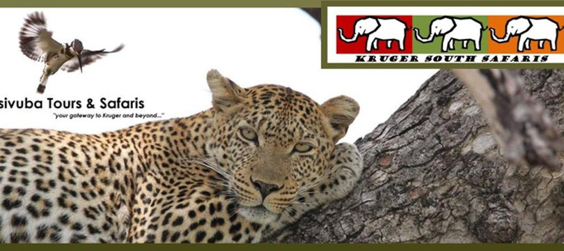 Kruger South Safaris