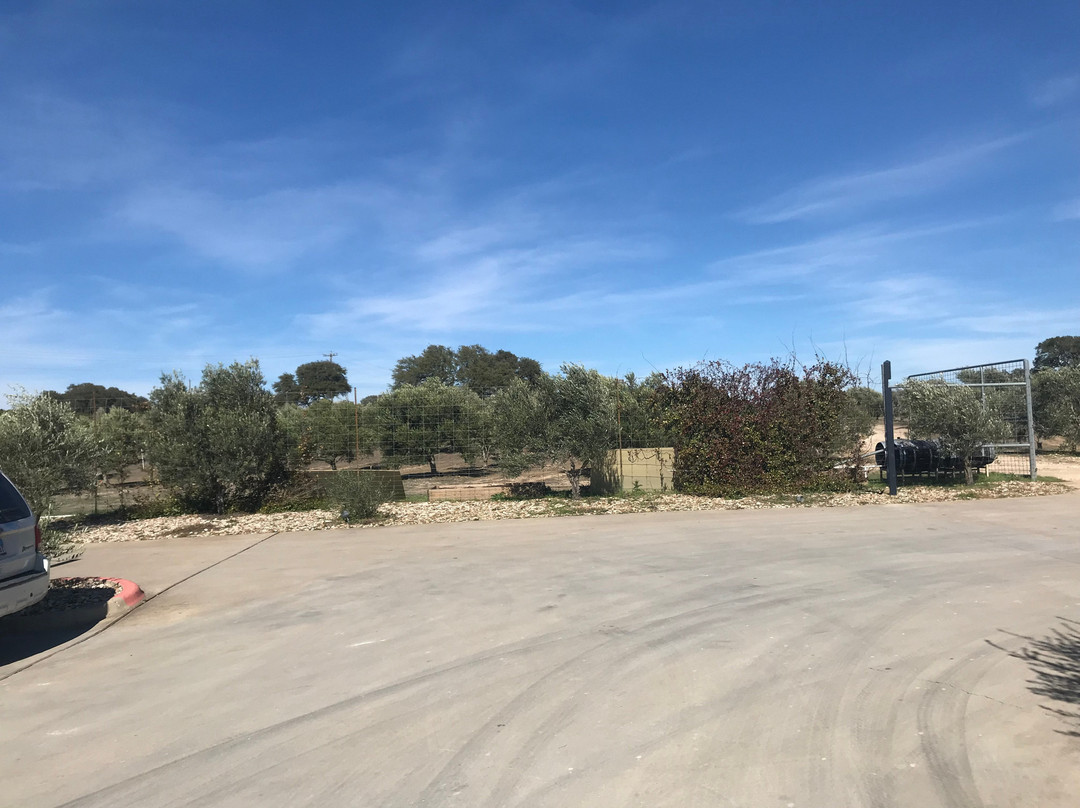 Texas Hill Country Olive Company-Dripping Springs必去景点