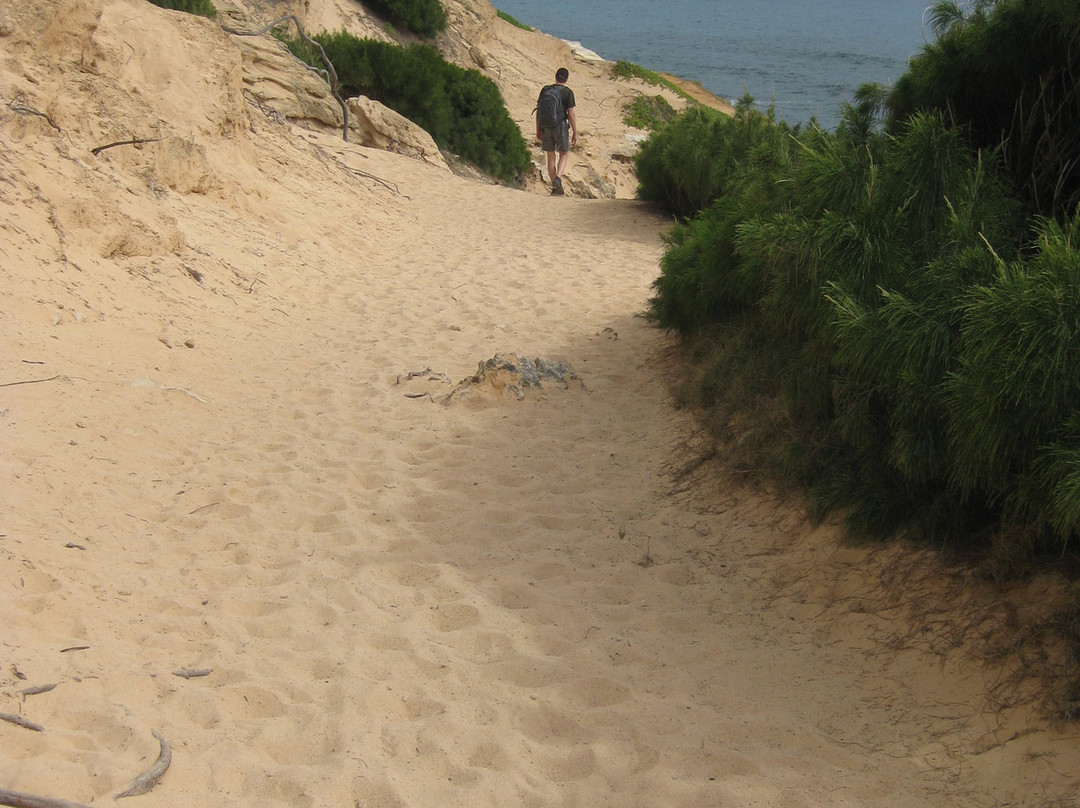 Makawehi Lithified Cliffs-坡伊普必去景点