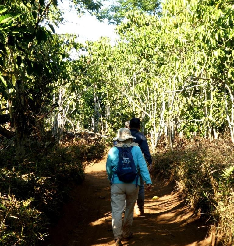 Bolaven Plateau-Champasak Province必去景点