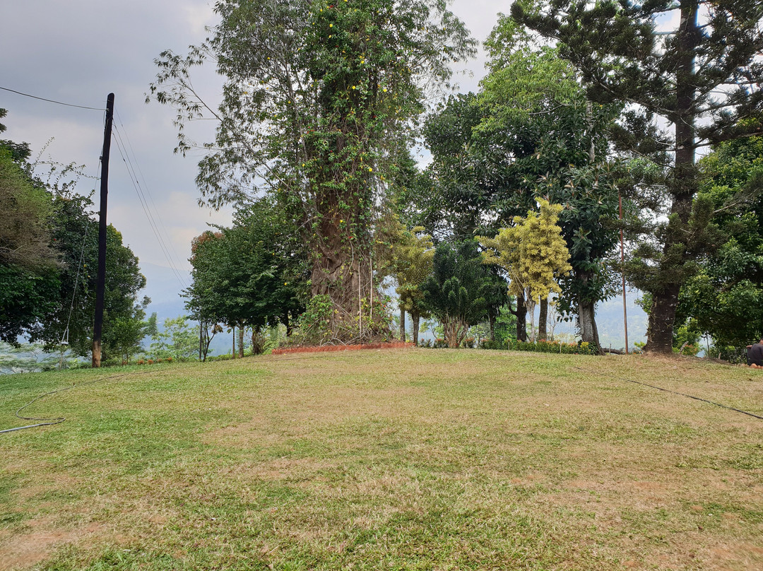 Upper Donside Planter's Bungalow主图