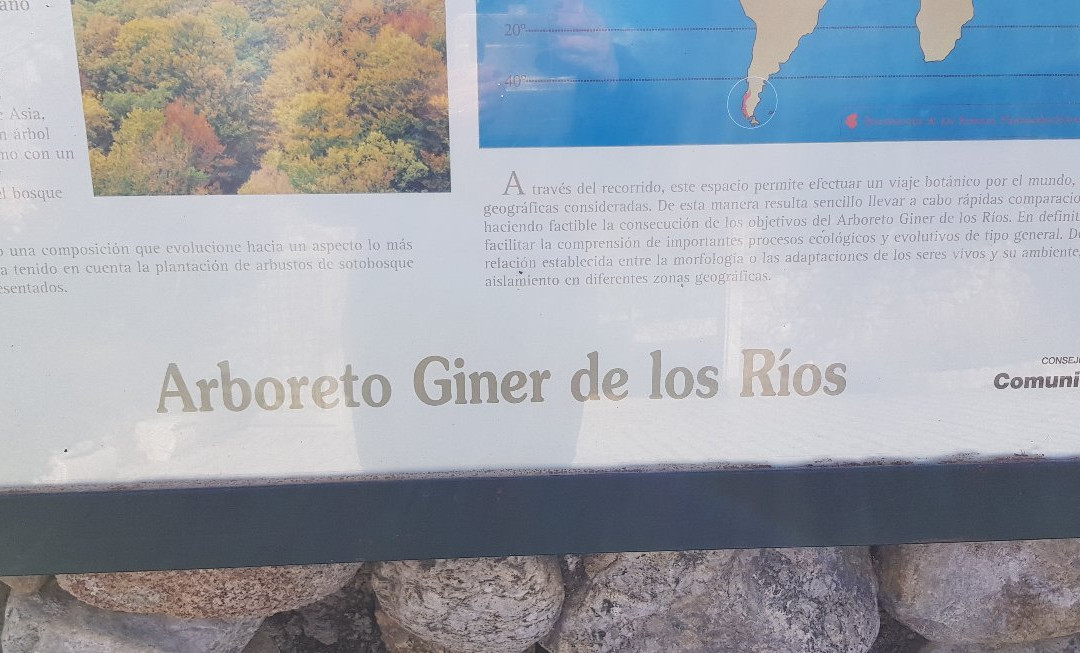 Arboreto Gines de los Rios景点图片
