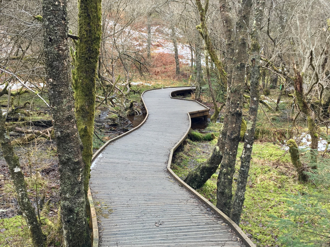 Queen Elizabeth Forest Park-洛蒙德湖与特罗萨克斯山国家公园必去景点