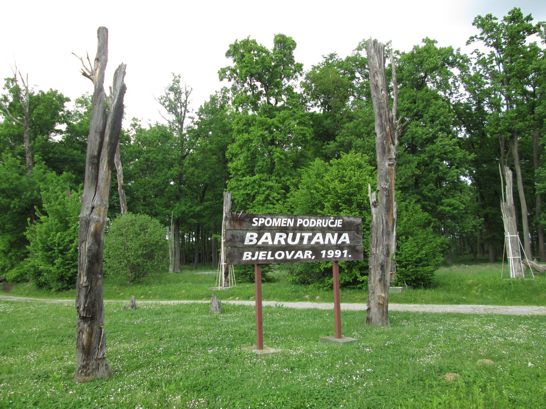 Memorial of Barutana景点图片