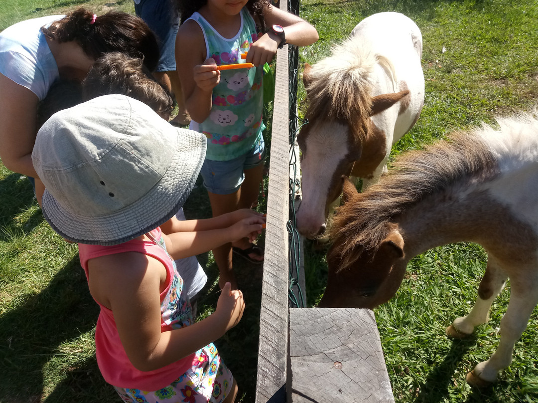 Hotel Fazenda Vale Encantado主图