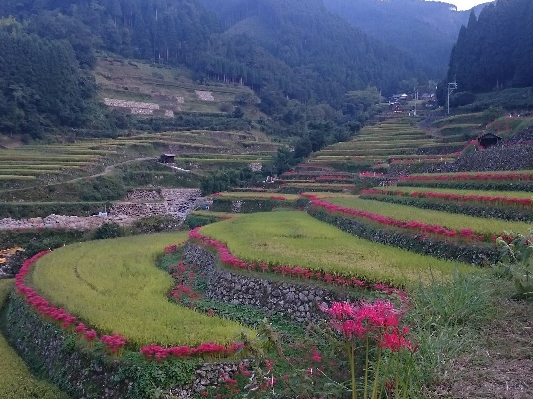Tsuzura Tanada-浮羽市必去景点